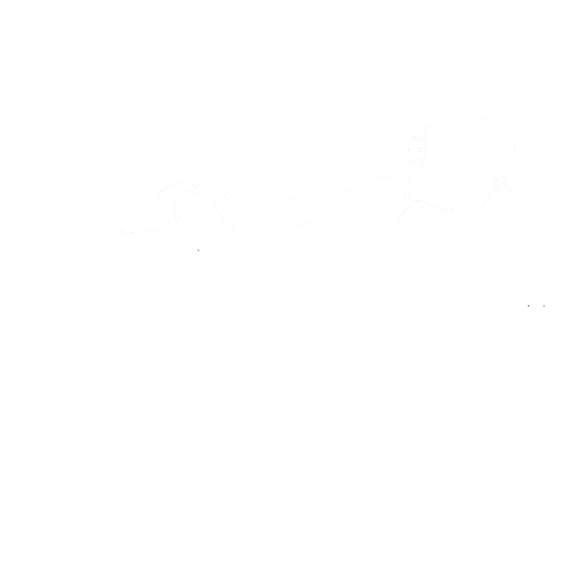 pootuit