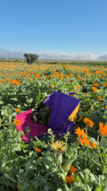 Pootuit Ground Chair - Weskus Blommetjies