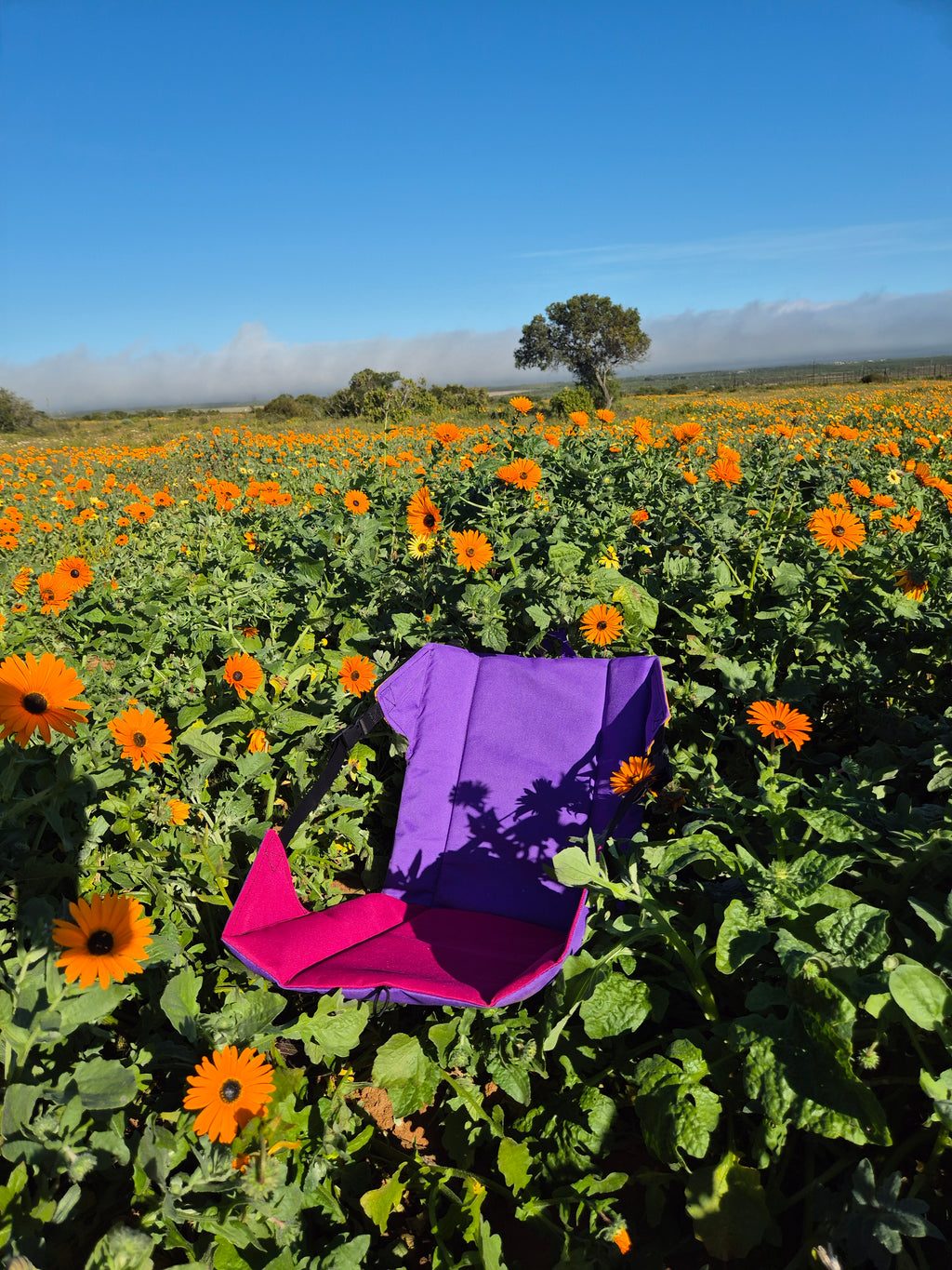 Pootuit Ground Chair - Weskus Blommetjies