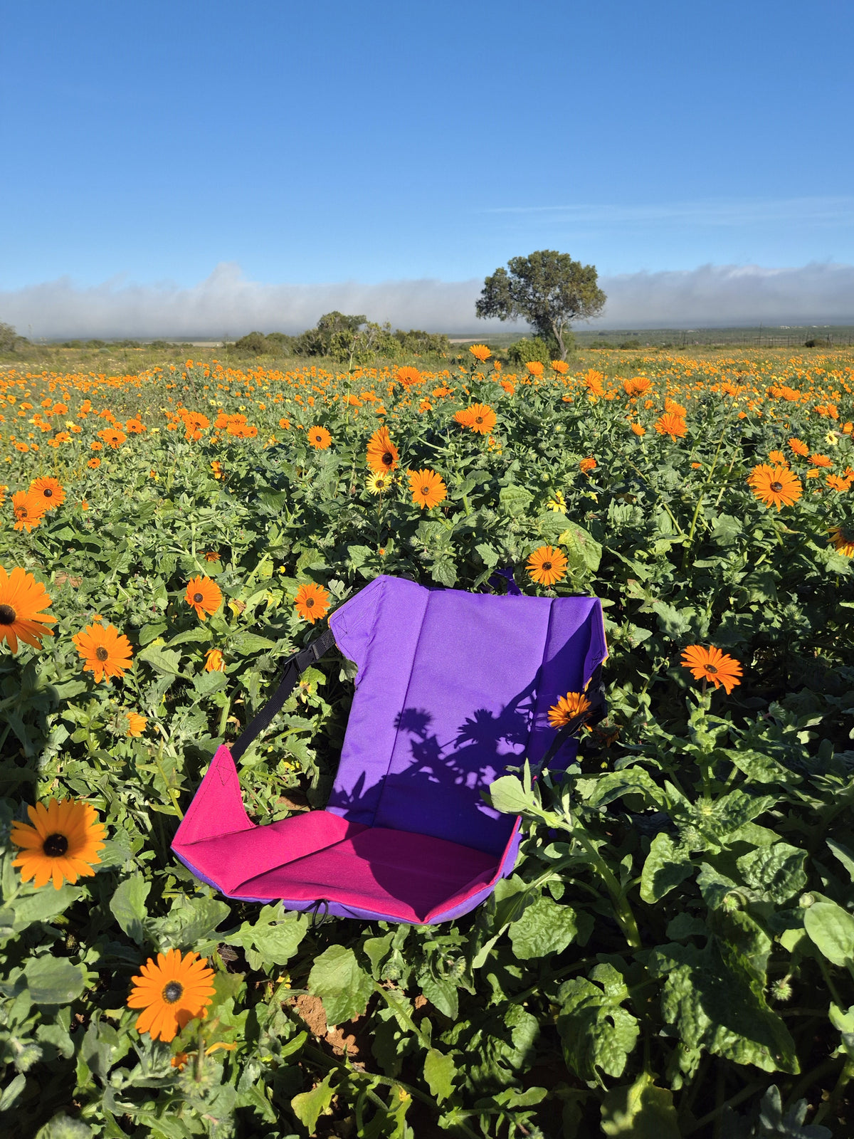 Pootuit Ground Chair - Weskus Blommetjies